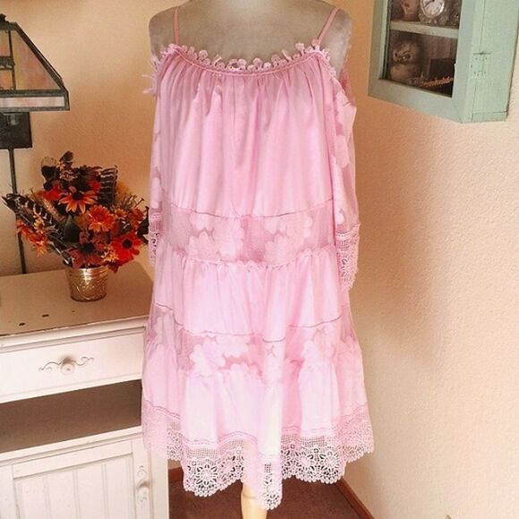 Pretty in Pink Lace Dress - Picture 1 of 14